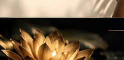 Gold lotus representing restorative rituals